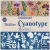 Image de Jeu créatif Atelier Cyanotype Herbier