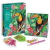 Image de Canevas A Diamanter - Toucan
