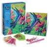 Image de Canevas A Diamanter - Colibri