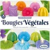 Image de Création bougie SentoSphère Bougies végétales