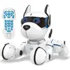 Image de Power Puppy - Mon Chien Robot Savant