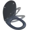 Image de Abattant thermodur frein de chute et déclipsable BEMIS Click & Clean Classic Gris