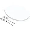Image de BEMIS Abattant frein de chute déclipsable Click & Clean slim, blanc