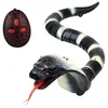 Image de Cobra Radiocommande