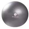 Image de Sveltus ballon de fitness 65 cm gris en boîte