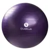 Image de Gymball + boîte Sveltus 75cm Violet TU 0445
