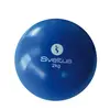 Image de Balle lestée Sveltus 2 kg Bleu TU 0452