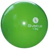 Image de Balle lestée Sveltus 1,5 kg Vert TU 0497