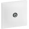 Image de Prise Satellite Fiche F 1 posteNeptune Blanc Legrand