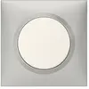Image de Plaque de finition 1 poste Dooxie aluminium Legrand