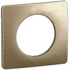 Image de Plaque de finition en saillie Legrand Céliane, 1 poste, bronze