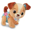 Image de VTech - Toutou 1,2,3 suis-Moi - Peluche Interactive Câlin, Chien Qui Marche et Aboie - Éveil Bébé Sensoriel - Jouet Musical - Cadeau Bébé Dès 9 Mois - Contenu en Français en occasion ou reconditionné
