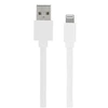 Image de Câble plat lightning/USB A pour iPhone iPad 1 m - 732045