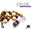 Image de Pylos Mini