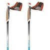Image de Tsl Outdoor Bâtons Tactil C70 Spike