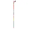 Image de Tsl Outdoor Bâtons Trail Carbon 4 120 cm