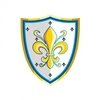 Image de Déguisement Bouclier Fleur de Lys