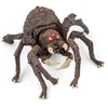 Image de Arachnos