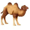 Image de Figurine Chameau de Bactriane