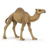 Image de Figurine dromadaire Papo