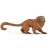 Image de - Tamarin lion doré