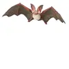 Image de Figurine chauve souris