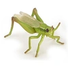 Image de Figurine Sauterelle