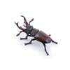 Image de 50281 figurine insecte lucane