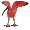 Image de 50314 - Ibis rouge -