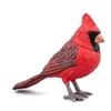 Image de Cardinal rouge