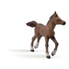 Image de Figurine Poulain anglo-arabe