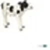 Image de Figurine veau noir et blanc