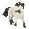Image de Figurine Cheval Camargue