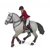 Image de 51563 Cheval de concours et sa cavaliere
