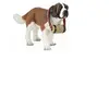 Image de Saint-bernard au tonneau
