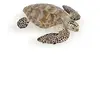Image de Figurine Tortue de mer caouanne