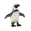 Image de Figurine Manchot du cap