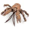 Image de Figurine Crabe de cocotiers Beige