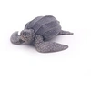 Image de Figurine Tortue Luth Gris