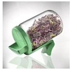 Image de Coffret découverte germination