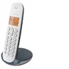Image de DECT ILOA 150 SOLO Ardoise SANS REPONDEUR