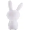 Image de BTLSRABBIT
