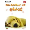 Image de Joue Avec un Amour de Chiot