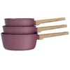Image de Set de 3 casseroles 16-18-20 cm Gamme Forest tous feux dont induction Prune AM1963