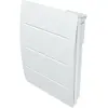 Image de Radiateur double coeur de chauffe en fonte + film Kairos blanc 1 000W