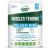 Image de Punch Power - Muscles-Tendons Collagene Marin Poudre 300 g - Citron