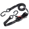 Image de Lot de 2 sangles à cliquet 4m25 25mm noir 3066eurdat