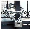 Image de Master Lock Cadenas blindé Acier 80 mm 680EURD