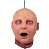 Image de suspension tête de mort-vivant 55 cm - ptitclown 11072