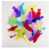 Image de 14515 Sachet de 50 Plumes 8-12 cm - Multicolore
